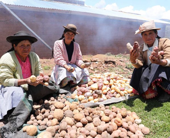 Oficializan subsidio monetario de S/ 760 para más de un millón de hogares rurales