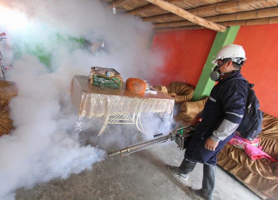 Aumentan casos de dengue ante deficiente manejo presupuestal de la Diresa Ica