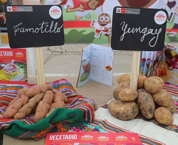 Perú se mantiene como primer productor de papa en América Latina