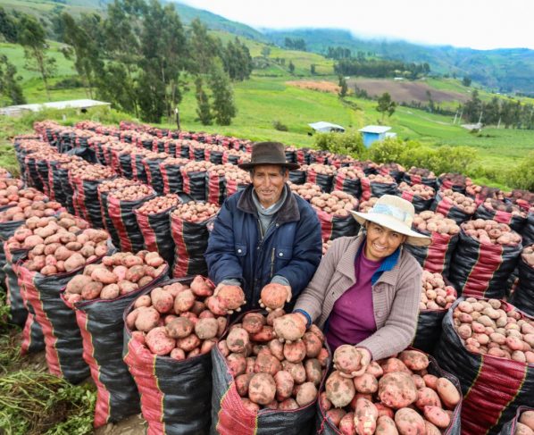 Gobierno inicia implementación del FAE-AGRO para inyectar S/ 2,000 millones en créditos a pequeños productores