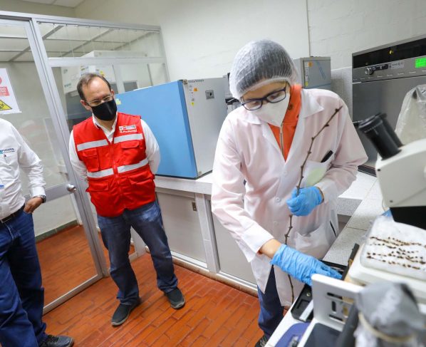 Produce invierte en Ica más de S/ 36 millones en CITE Agroindustrial para reactivar a unas mil mipymes