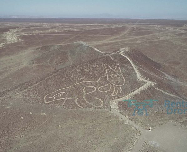 Un gatito de 37 metros, nueva figura descubierta entre geoglifos de Nazca