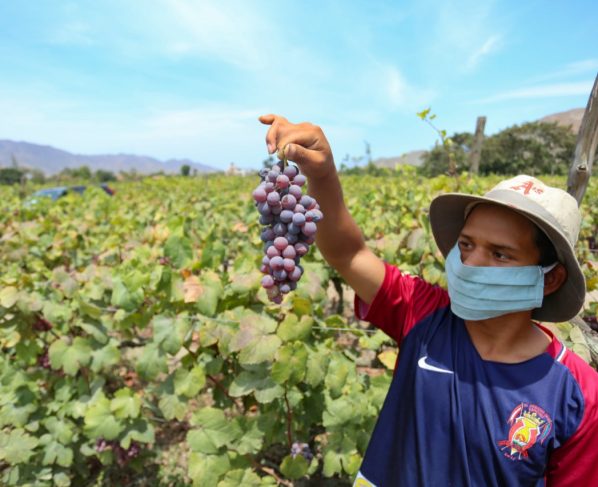 Minagri y Minsa lanzan campaña para promover alimentos saludables