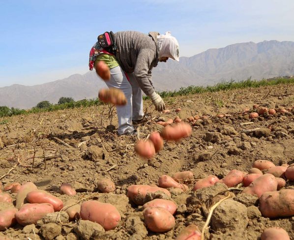 Desempleo en Perú creció el 9,6 % entre julio y septiembre por la covid-19