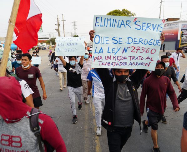 Congreso aprueba ley agraria en medio de grave crisis del sector