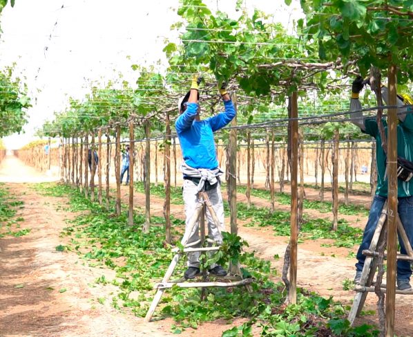 Ejecutivo invita a participar en reglamentación de la nueva ley agraria