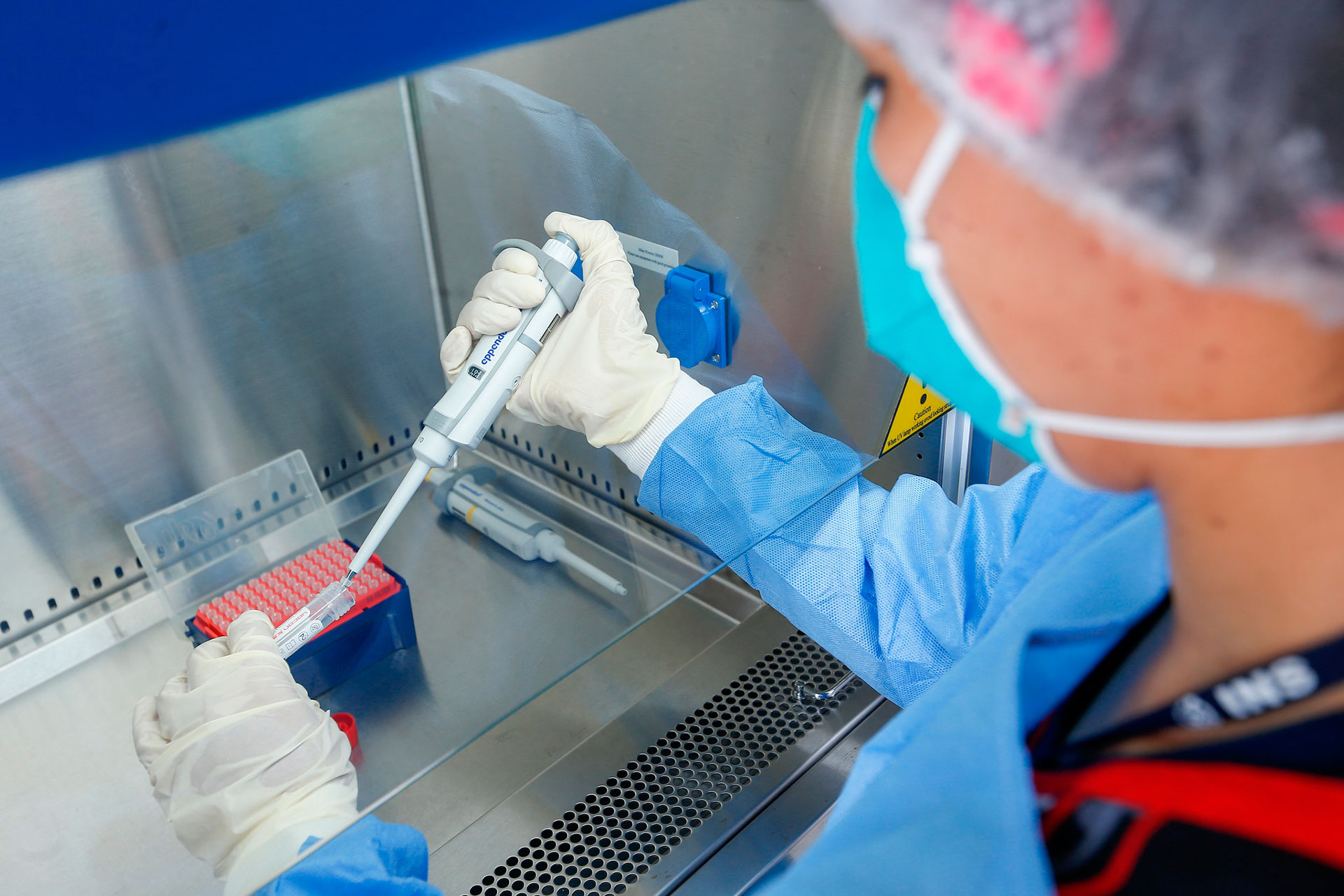 covid-19:más de 8.000 nuevos casos y 113 fallecidos en últimas horas