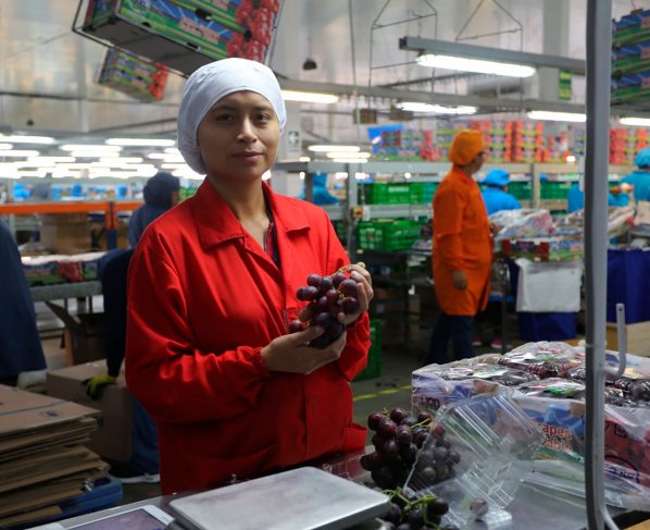 Las exportaciones agrarias cierran el 2020 con ventas de US$ 7,791 millones