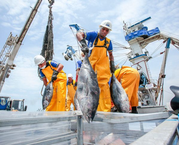 Pesca creció 2,08 %, pero la minería cayó 13 % en 2020