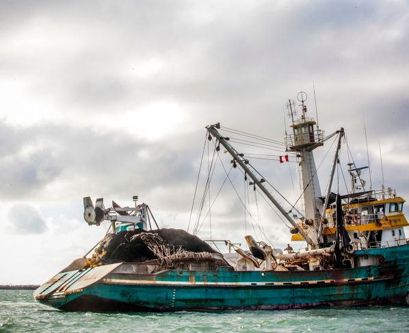 Pesca y consumo de cemento suben 74 y 21 % en enero