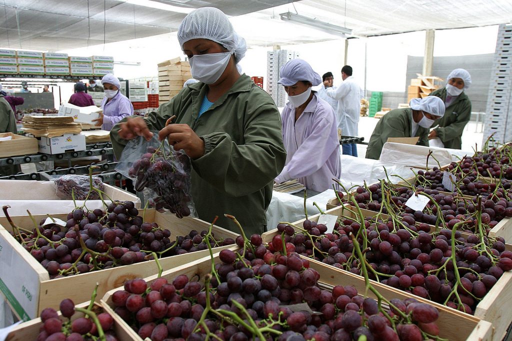 Exportaciones peruanas alcanzaron los US$ 7 388 millones en el primer bimestre del año