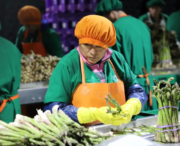 Exportaciones peruanas alcanzaron los US$ 7 388 millones en el primer bimestre del año