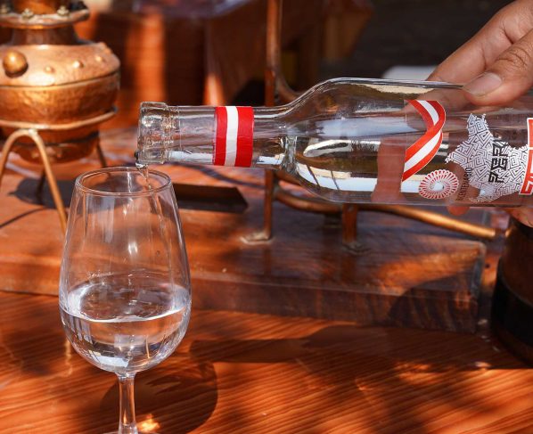 Iqueños celebran el Día Nacional del Pisco