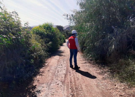 Contraloría alertó incumplimiento de trabajos de limpieza en camino vecinal