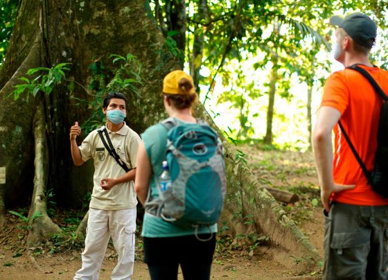 Mincetur: 342 mil visitantes se movilizarían por feriado largo