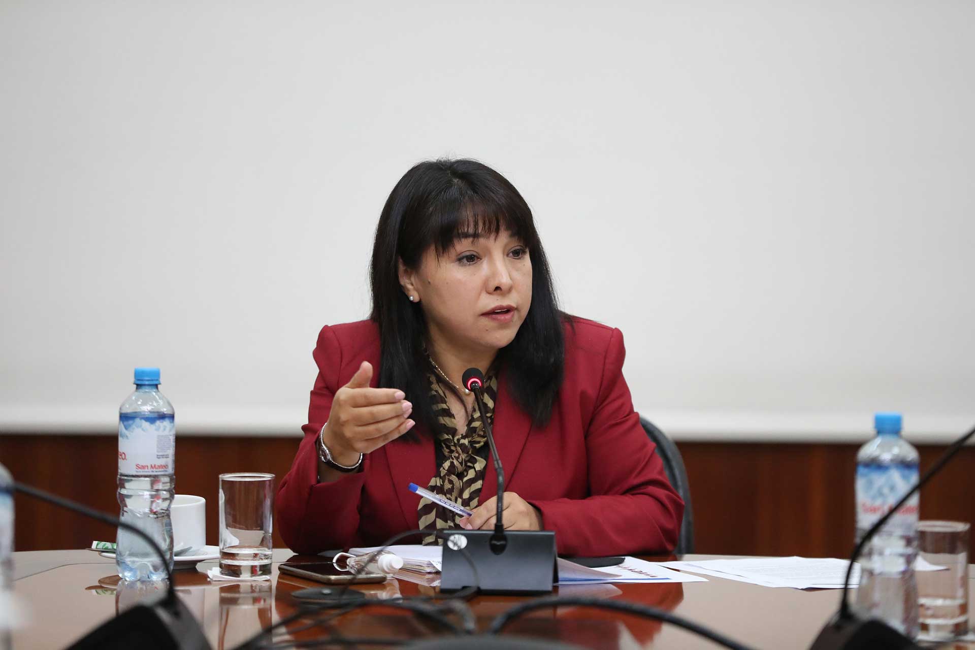 Mirtha Vásquez propone un "nuevo contrato social" para garantizar gobernabilidad