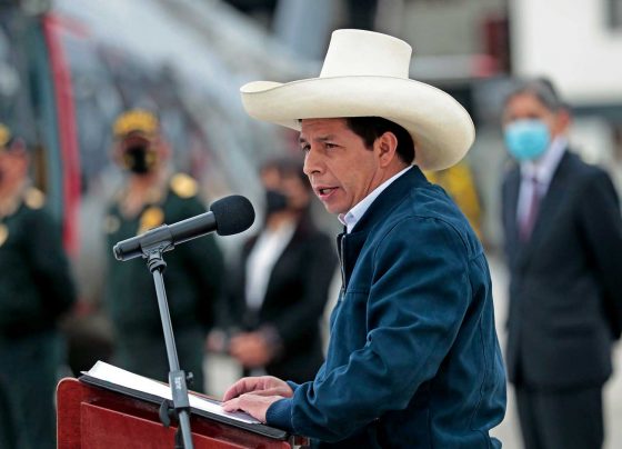 Pedro Castillo pide que todos los países del APEC produzcan vacunas contra covid-19