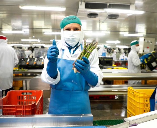 Veinte regiones aumentaron su exportación hasta setiembre