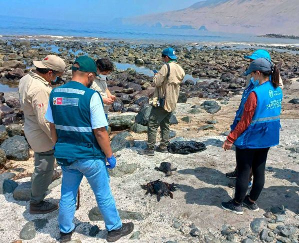 Crece el impacto ambiental en costa de Perú por derrame de petróleo de Repsol