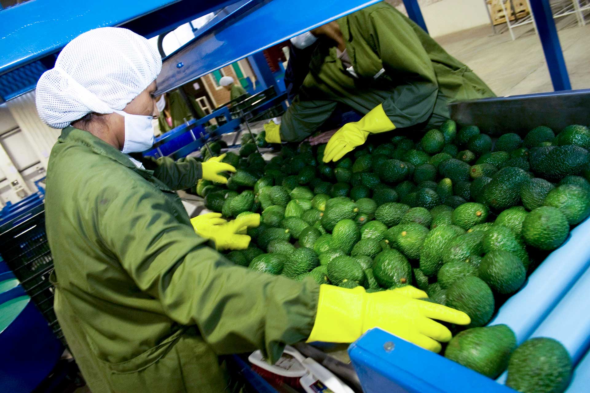Perú vive un boom agroexportador, afirma el ministro de Comercio Exterior