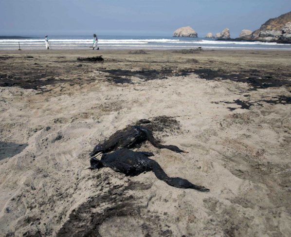 Playas negras, aves muertas y las miradas contra Repsol en el derrame de Perú