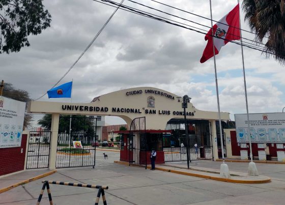 Universidad Nacional San Luis Gonzaga obtiene su licencia institucional