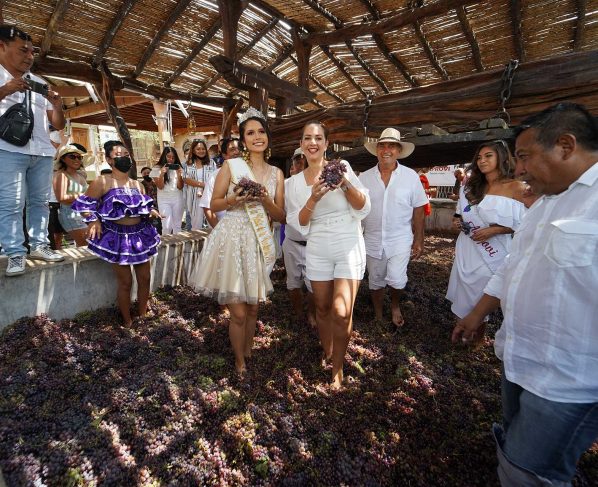 La vendimia en manos de los mismos productores