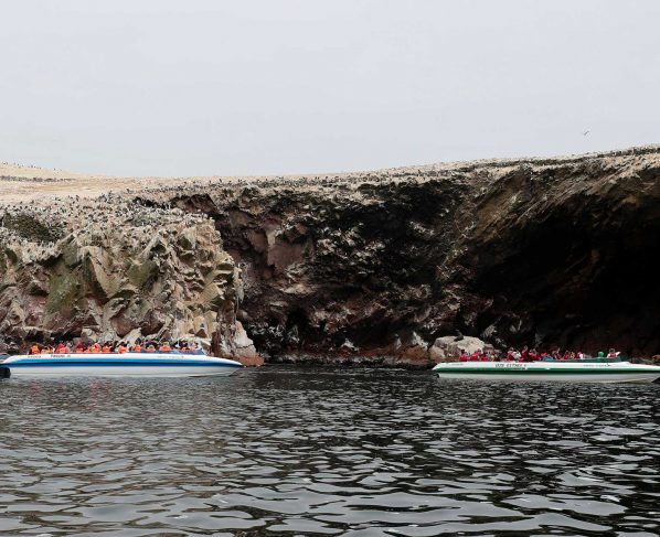 Más de 50,000 personas visitaron Paracas en Semana Santa