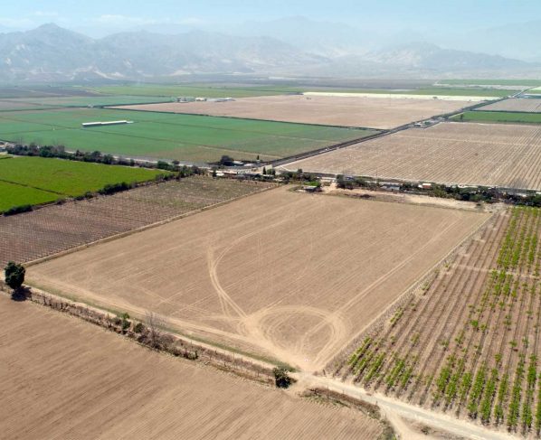 Se paralizan empleos e inversiones agrícolas en Ica