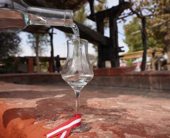El domingo 24 iqueños celebran el Día Nacional del Pisco