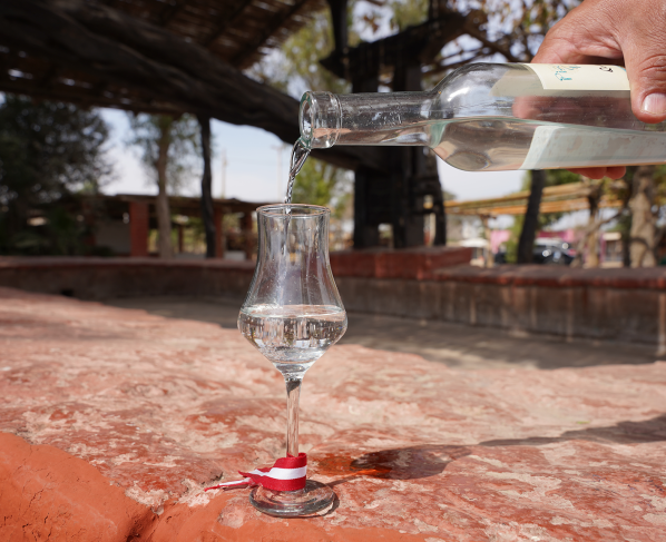ADEX: exportación de pisco entre enero y mayo creció 87 %
