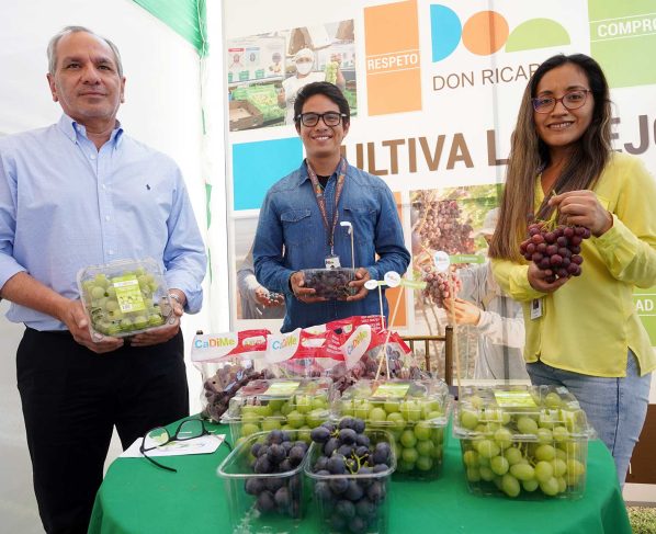 580 mil toneladas de uva de mesa estima exportar el Perú en la campaña 2022-2023