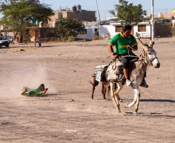 “Chabela” por tercer año consecutivo la carrera de burros en Ocucaje