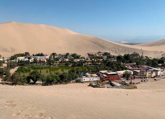 El 95 % de reservas turísticas en Ica fueron canceladas por bloqueo de la Panamericana Sur