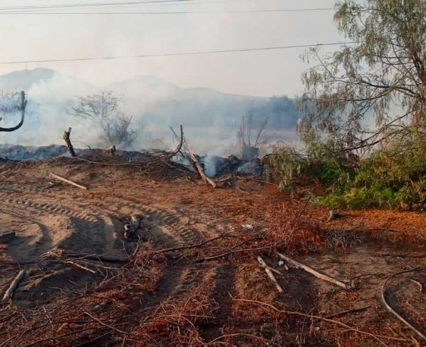 Vándalos incendian y destruyen fundos agrícolas y amenazan a trabajadores