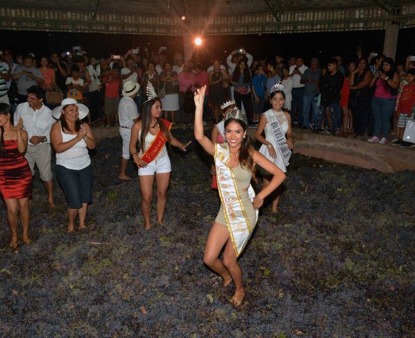 Después de cuatro años se celebrará la fiesta de la Vendimia Iqueña
