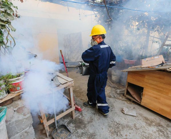 Se eleva a 7 los muertos y a 3 007 los casos por dengue en la región Ica