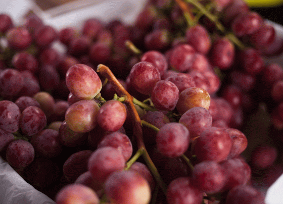 Despachos de alimentos de Ica superaron los US$ 1,000 millones