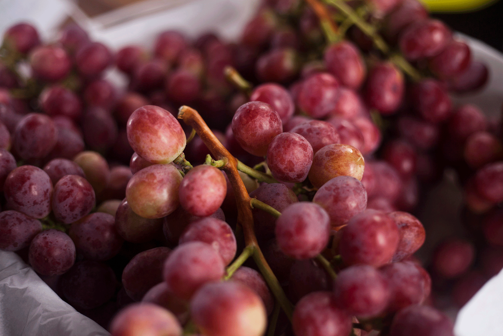 Despachos de alimentos de Ica superaron los US$ 1,000 millones