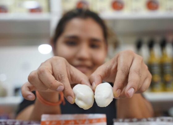 Día de la Teja Iqueña: el 4 de octubre es la fecha elegida para celebrar dulce tradicional
