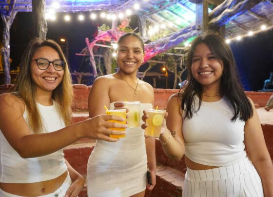 Productores vitivinícolas anuncian el II Festival del Chilcano, del 12 al 14 de enero