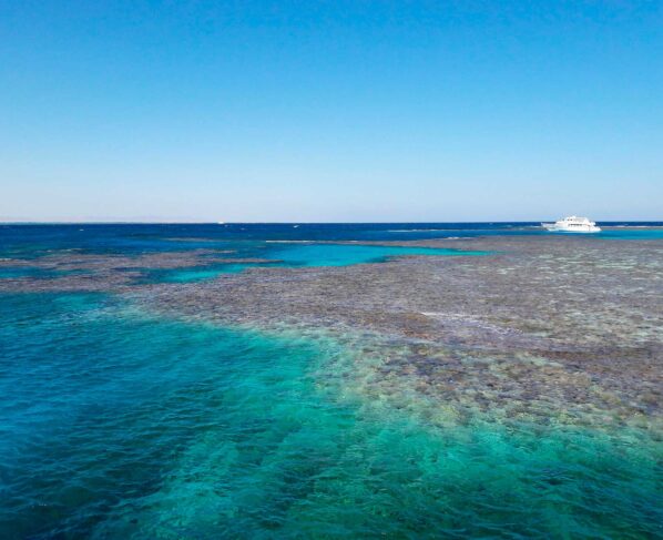 Arrecifes artificiales: iniciativa de Antonio Suárez Gutiérrez en Grupomar para preservar el medio marino