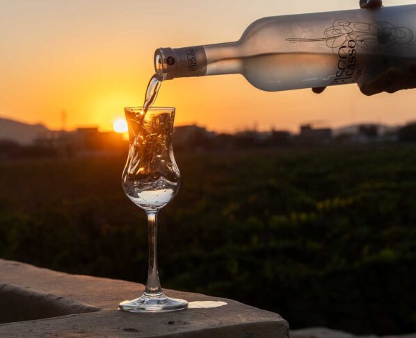 Día Nacional del Pisco: piden velar por garantizar la calidad de la bebida emblemática