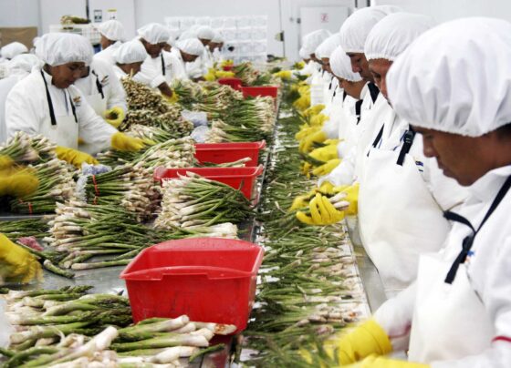 Exportaciones de regiones del interior crecieron 6,1 % de enero a mayo y superaron los US$22 mil millones