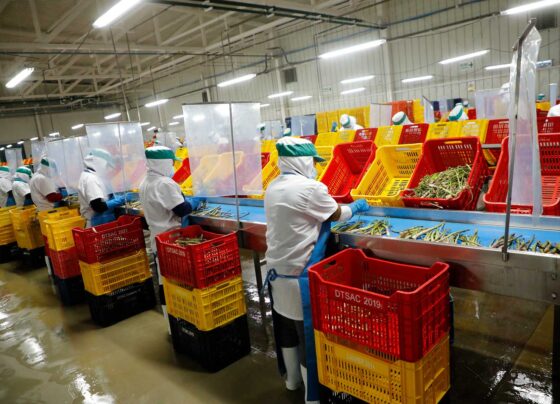 Exportaciones peruanas crecieron 7,2% en el primer semestre del año