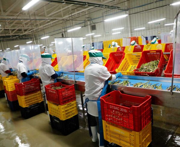 Exportaciones peruanas crecieron 7,2% en el primer semestre del año