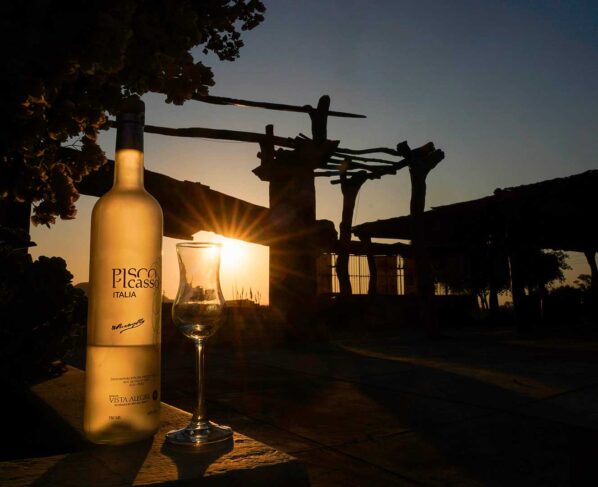 Productores vitivinícolas buscan fortalecer la identidad y reafirmar el origen del pisco