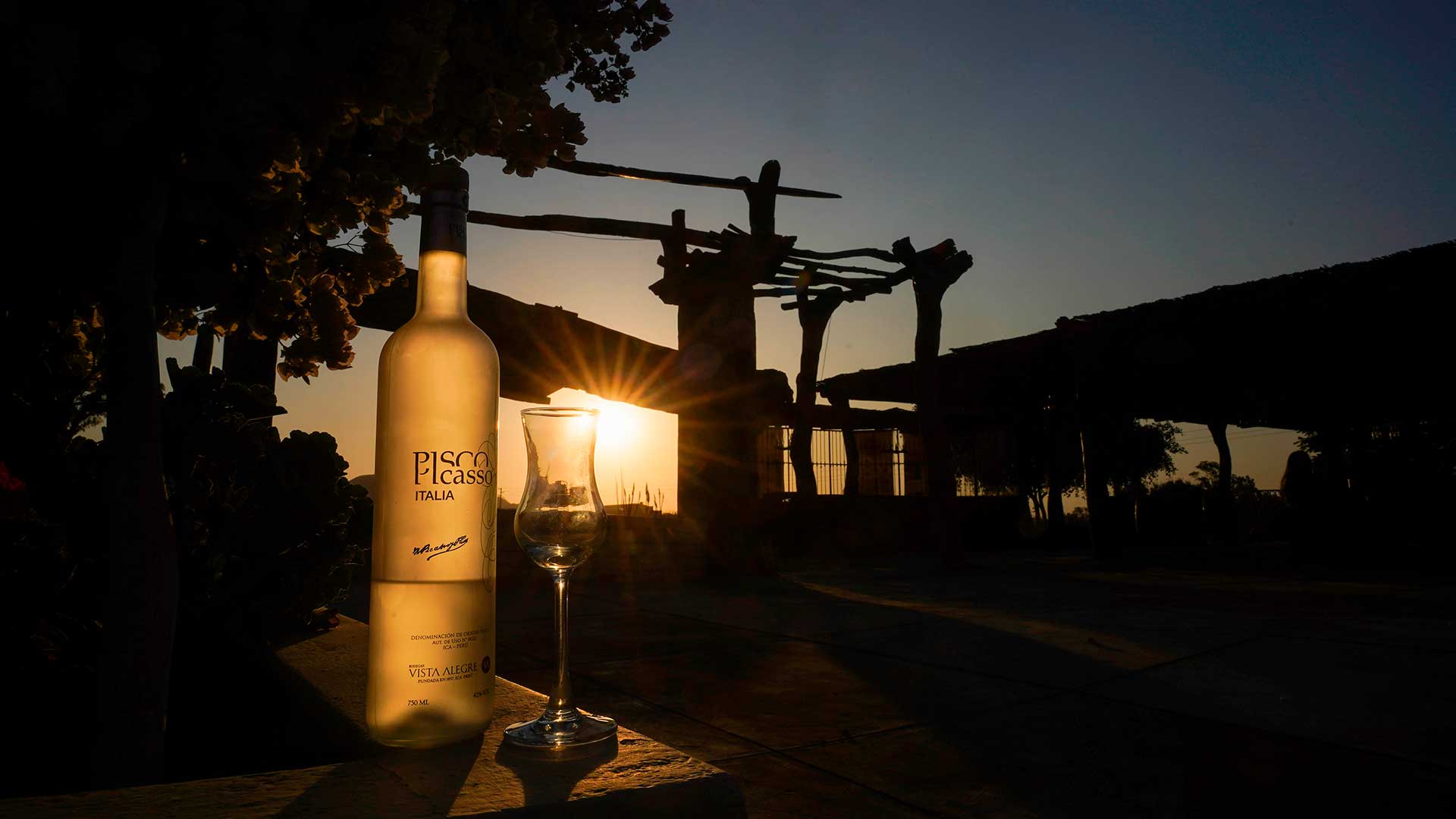 Productores vitivinícolas buscan fortalecer la identidad y reafirmar el origen del pisco