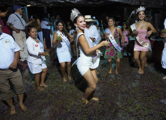 Las provincias iqueñas celebrarán la tradicional fiesta de la uva