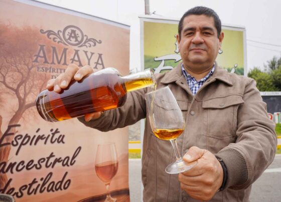 Ica: el primer destilado premium del fruto del huarango sale al mercado en noviembre